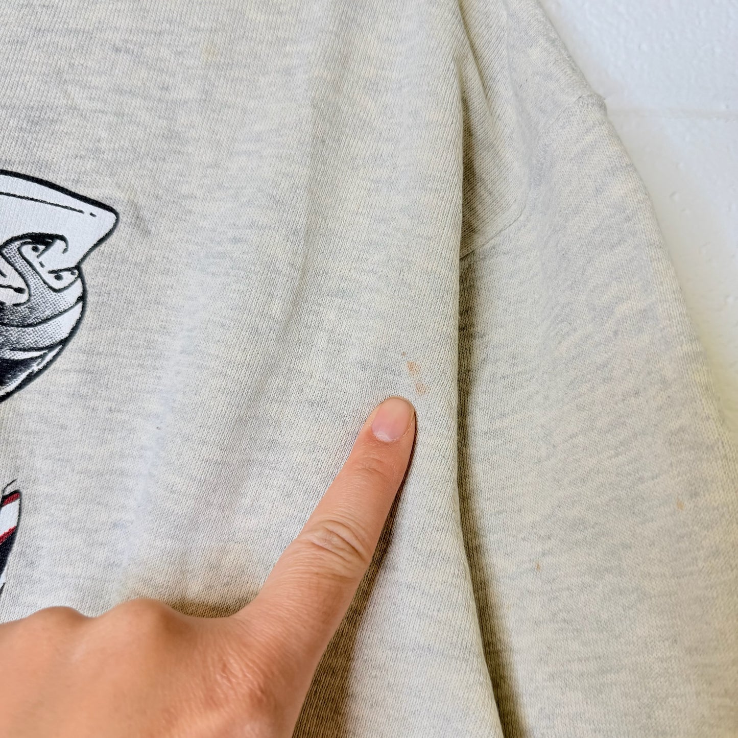 90s Detroit Red Wings Nutmeg Breakthrough Crewneck Sz L (B2074)