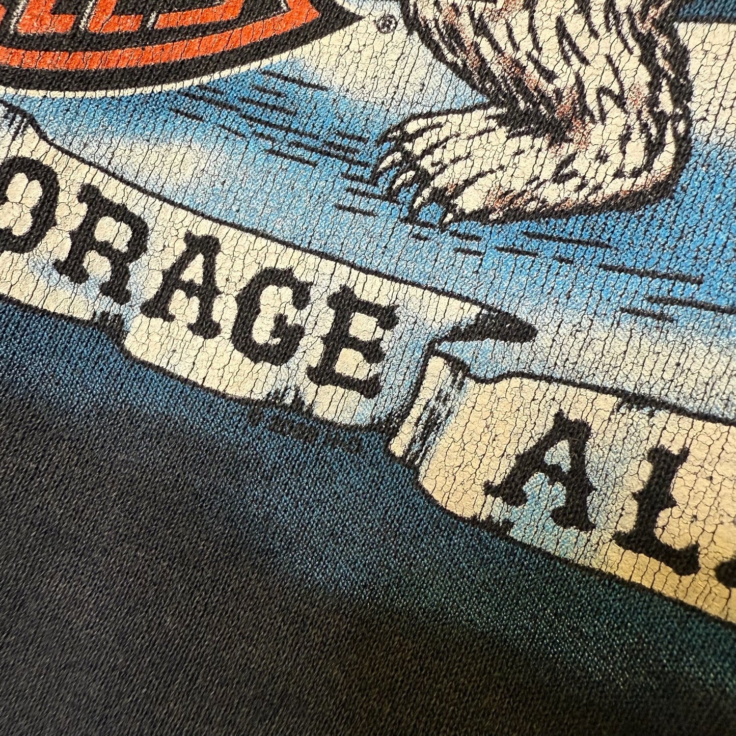 2002 Harley Davidson Alaska Crewneck Sz XL (B634)