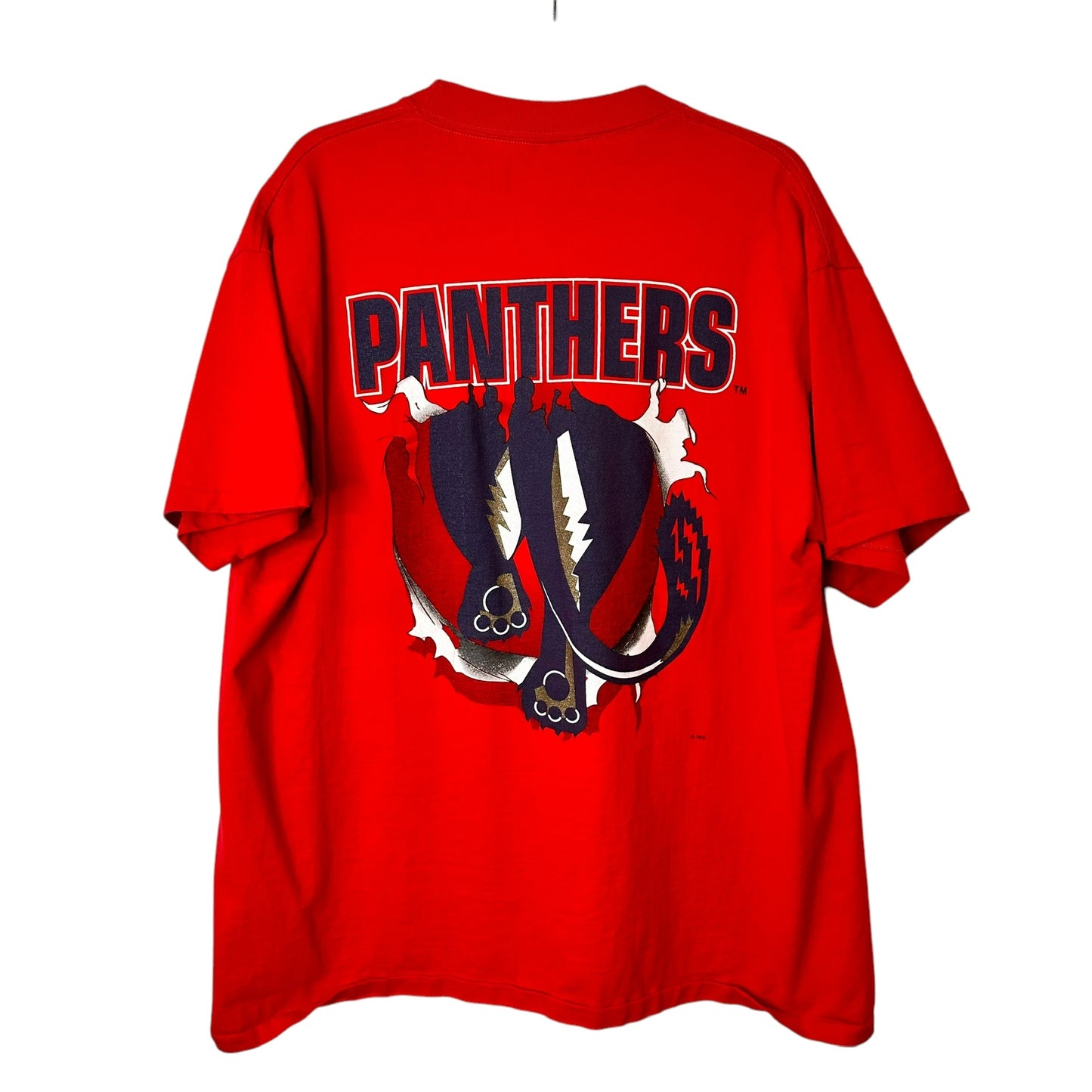 90's Florida Panthers NHL Nutmeg Breakthrough T-Shirt Sz XL(A715)