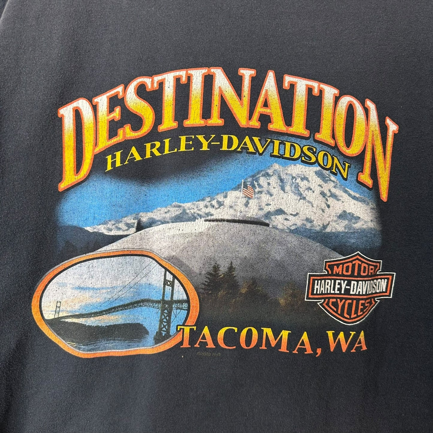 2003 Harley Davidson Destination WA T-Shirt Sz L (A9564)