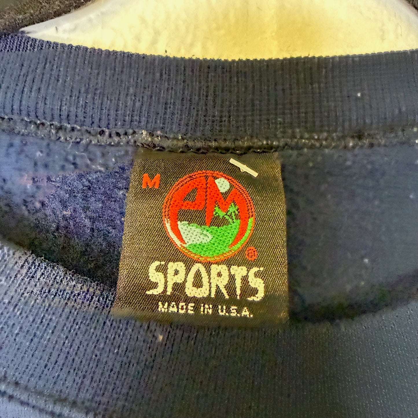 90s University of Illinois Crewneck Sz M (A2562)