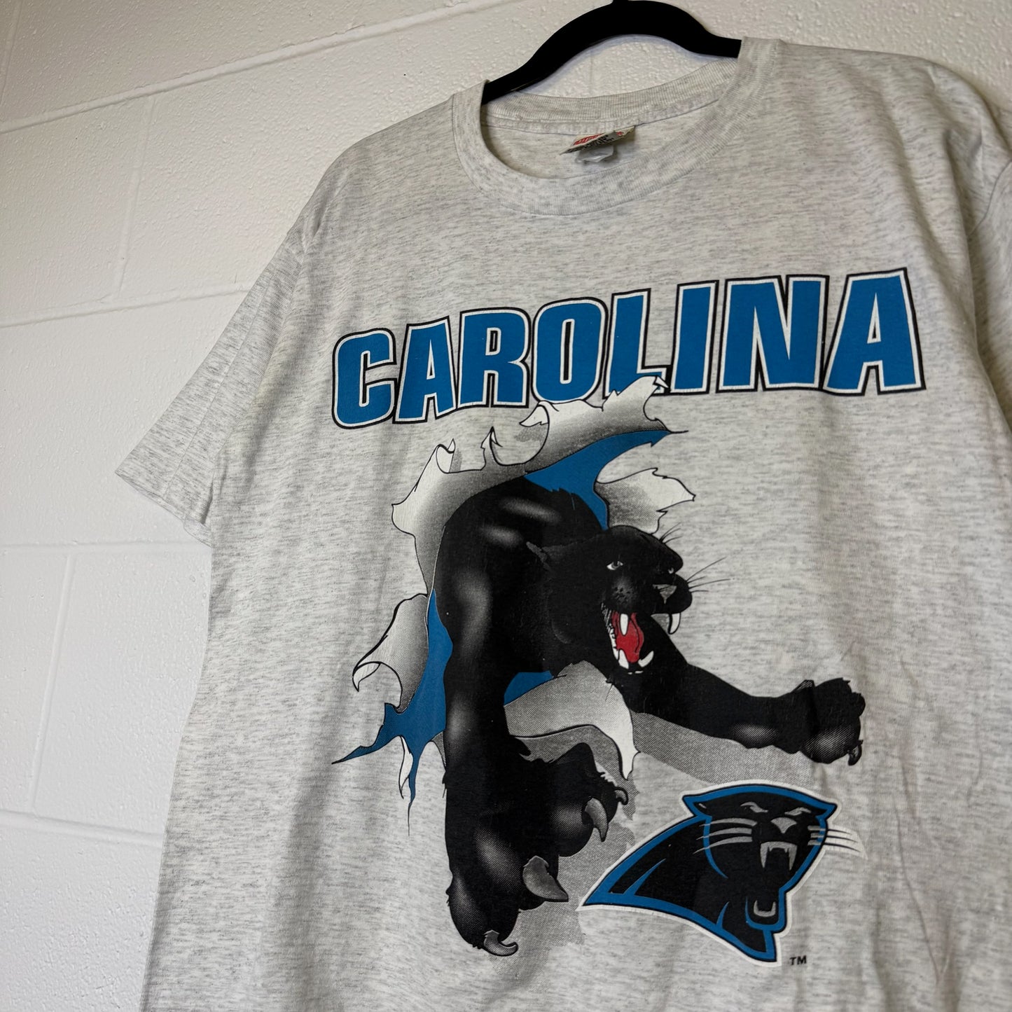 1993 Carolina Panthers NFL Nutmeg Breakthrough T-Shirt Sz L (B2085)