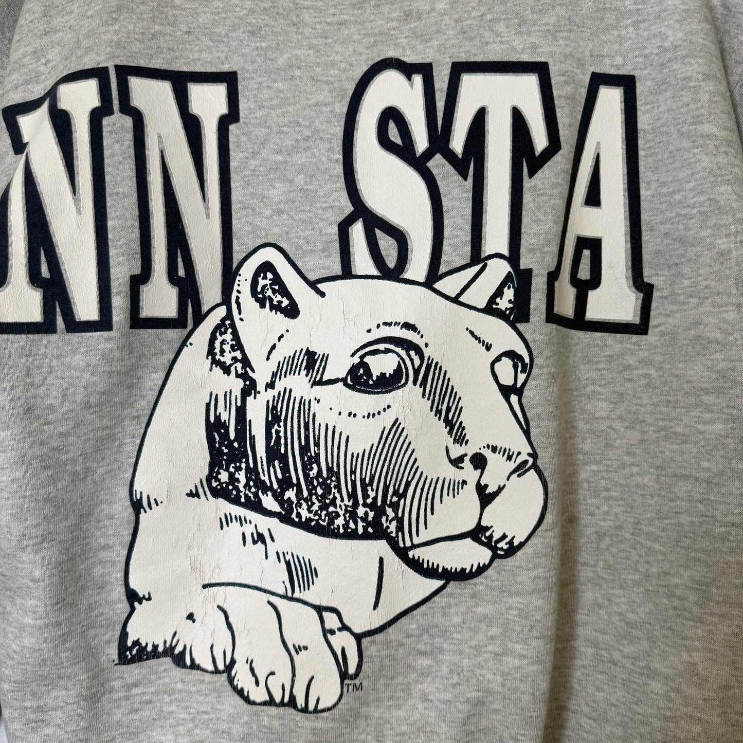 90s Penn State Nittany Lions NCAA Crewneck Sz XL (B2456)