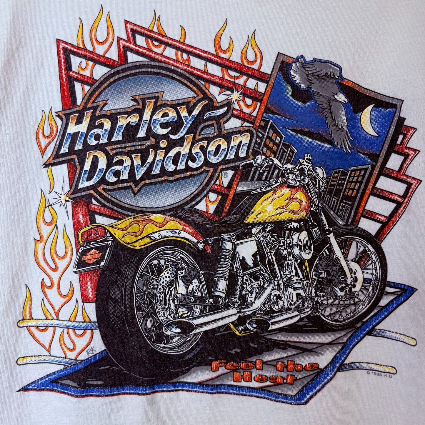 1995 Harley Davidson Glendale CA Long Sleeve Shirt Sz L (B2385)