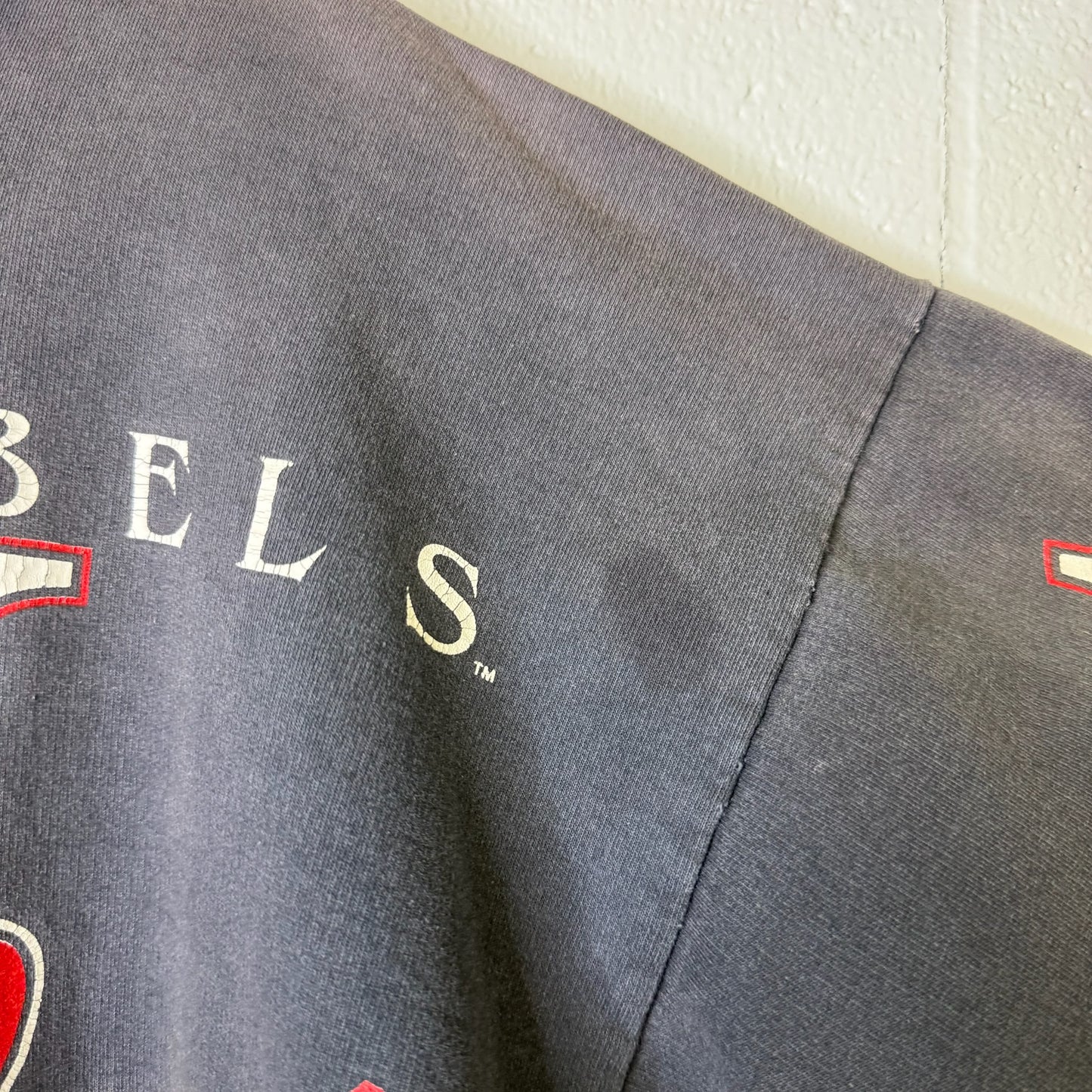 90s UNLV Rebels NCAA Spellout Hoodie (B2459)