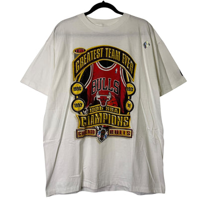 1996 Chicago Bulls NBA T-Shirt Sz L (B1629)