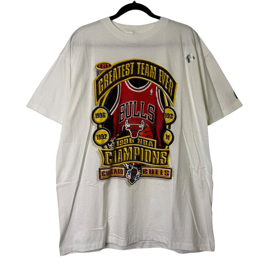 1996 Chicago Bulls NBA T-Shirt Sz L (B1629)