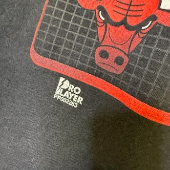 1998 Chicago Bulls NBA Championship T-Shirt Sz L (B2173)