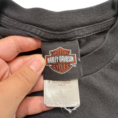 2000s Harley Davidson Christianburg VA Sz XL (A5697)