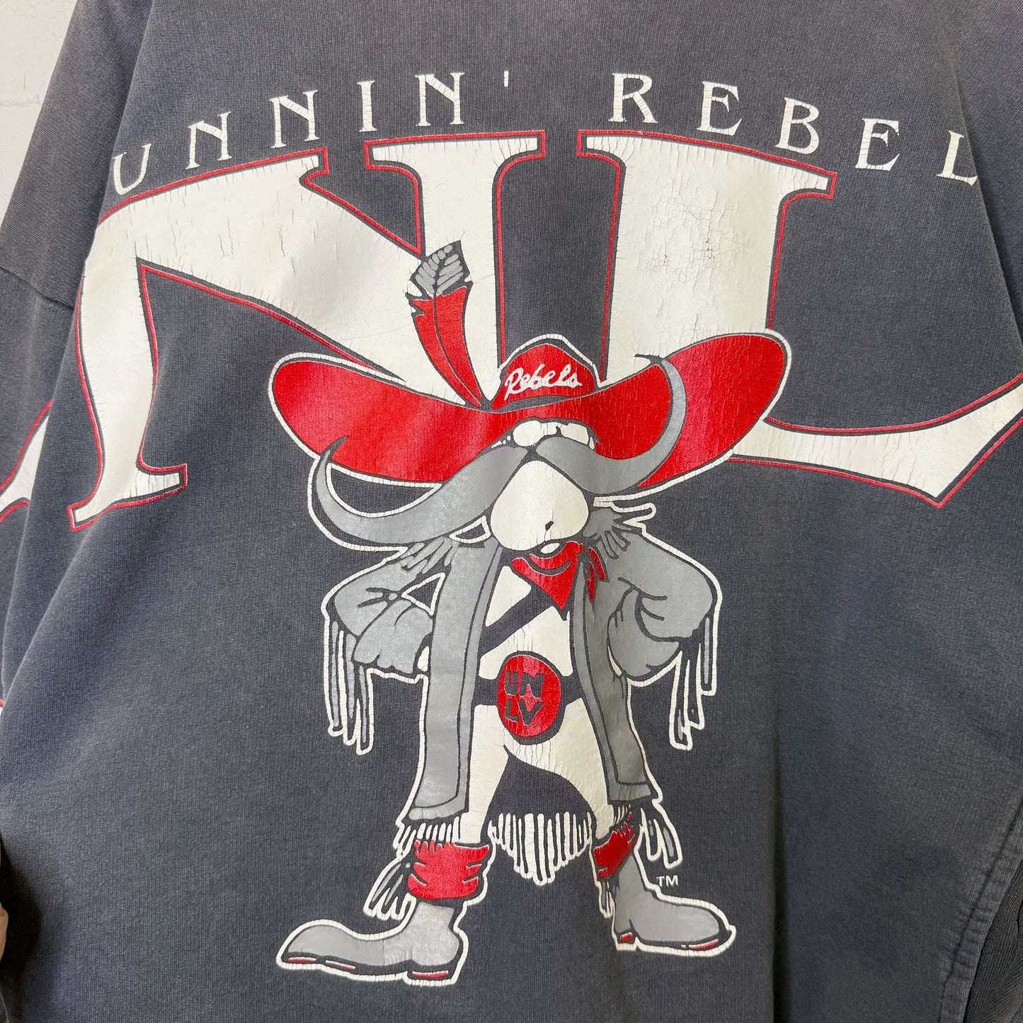 90s UNLV Rebels NCAA Spellout Hoodie (B2459)