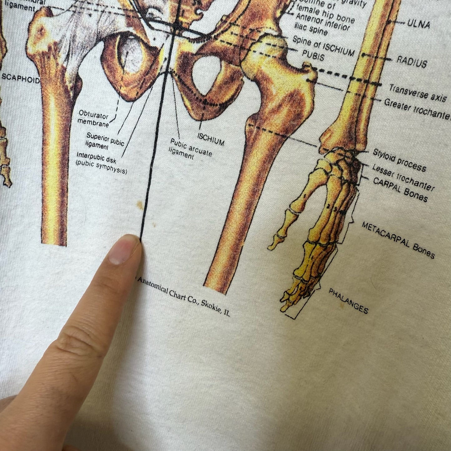 90’s Anatomical Chart Skeleton T-shirt Sz XL (B1769)