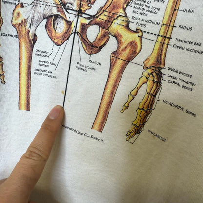 90’s Anatomical Chart Skeleton T-shirt Sz XL (B1769)