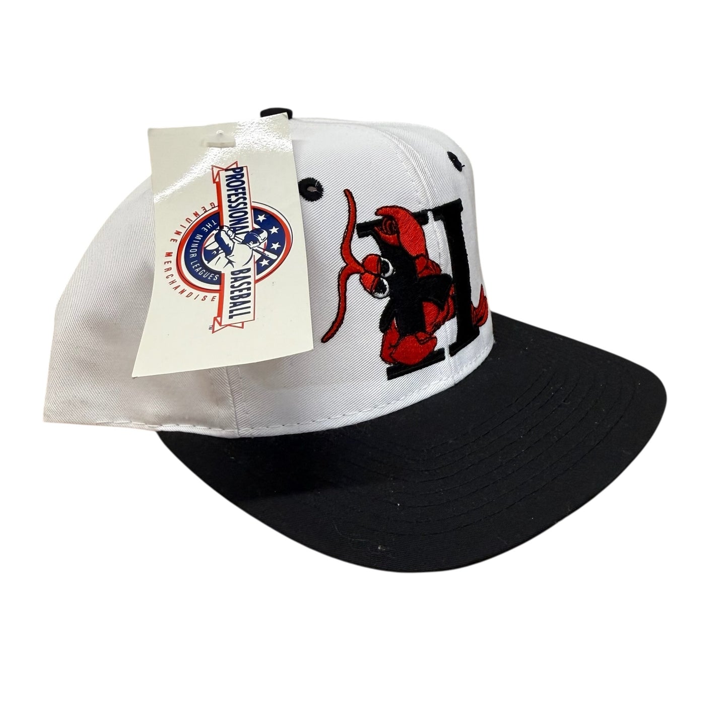 90s Hickory Crawdad's Minor League Baseball SnapBack Hat