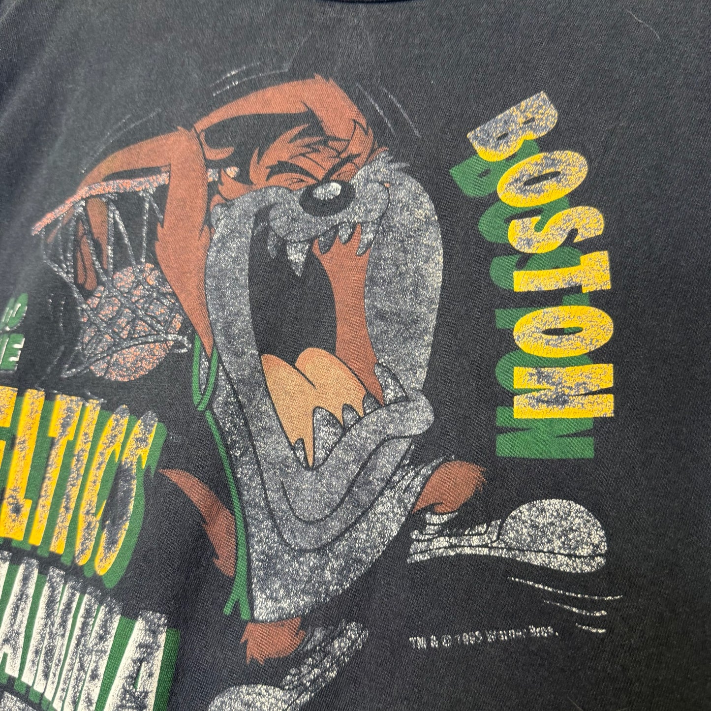 90s Taz Boston Celtics NBA T-Shirt Sz L (B2314)