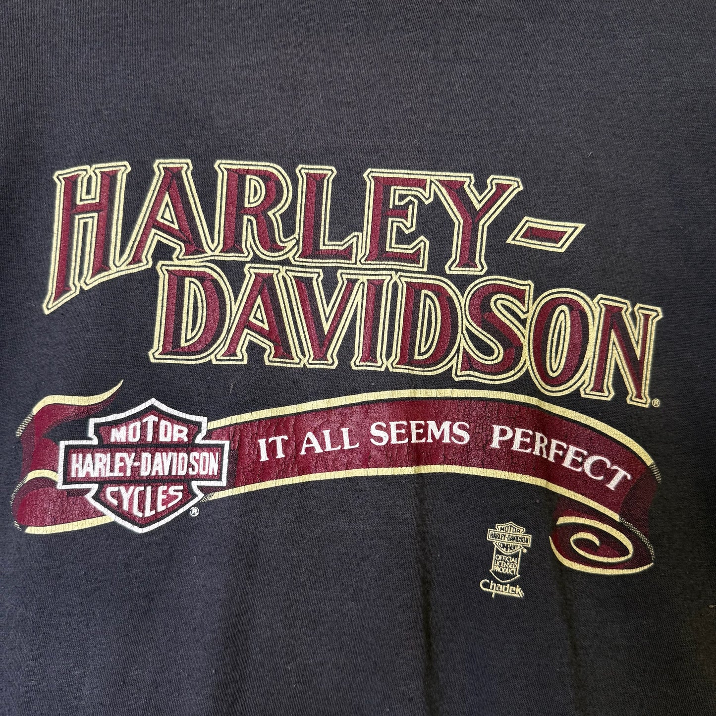 90's Harley Davidson Saskatoon Saskatchewan T-Shirt (B1412)