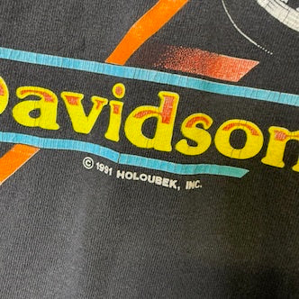 1991 Harley Davidson Billings Montana T-Shirt Sz L (B1410)