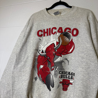 90s Chicago Bulls NBA Nutmeg Breakthrough Crewneck Sz L (B2086)