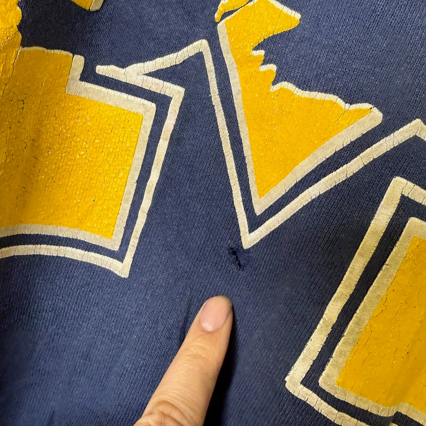 90s Michigan Wolverines NCAA Crewneck Sz L (B2454)