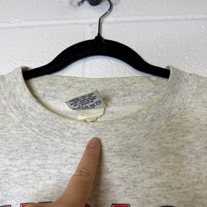 90s Chicago Bulls NBA Nutmeg Breakthrough Crewneck Sz L (B2086)