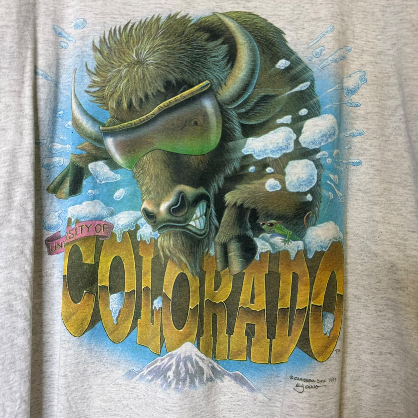 1993 Colorado Buffalo NCAA T-Shirt Sz 3XL (B1904)