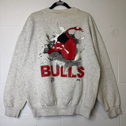 90s Chicago Bulls NBA Nutmeg Breakthrough Crewneck Sz L (B2086)