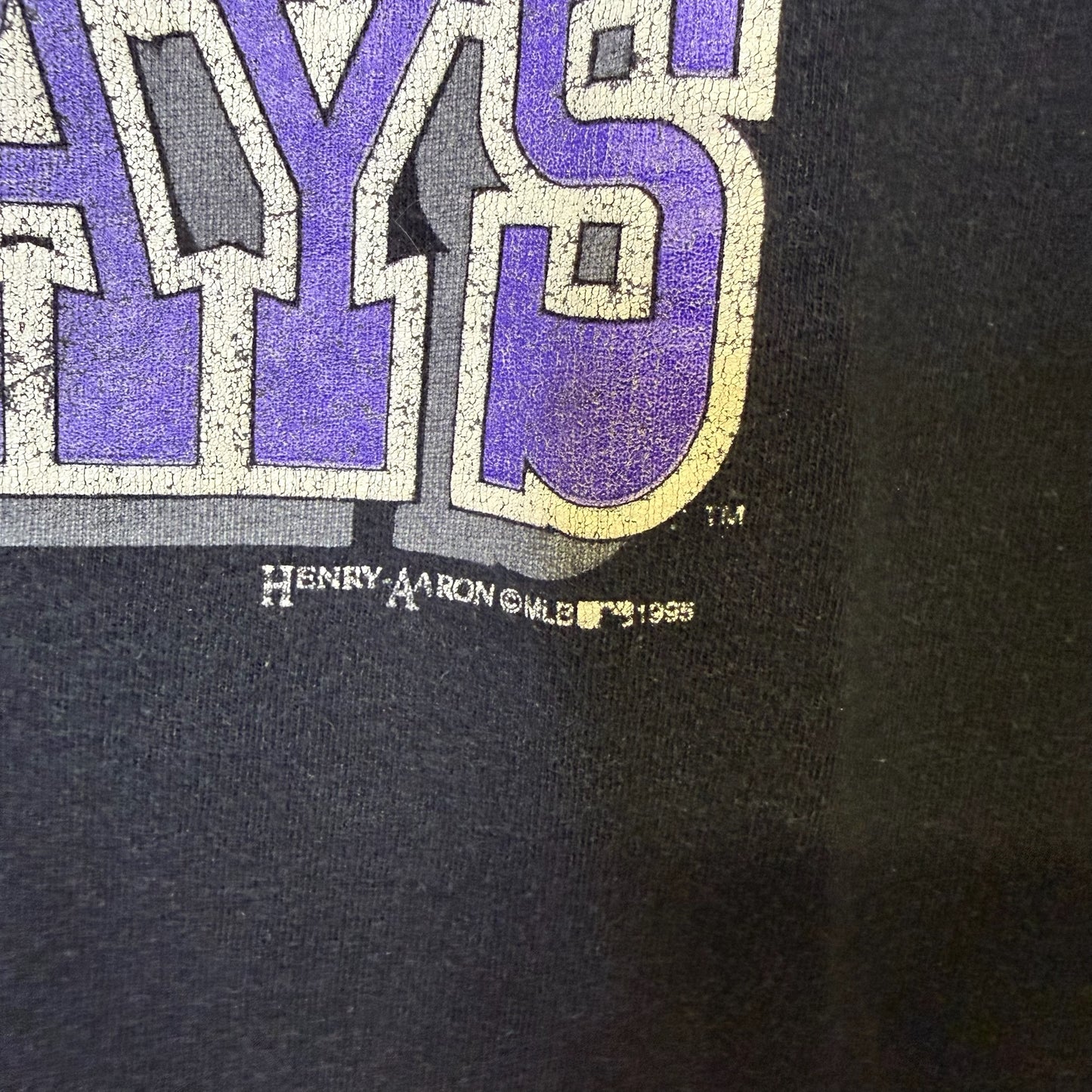 1993 Tampa Bay Devil Rays MLB T-Shirt