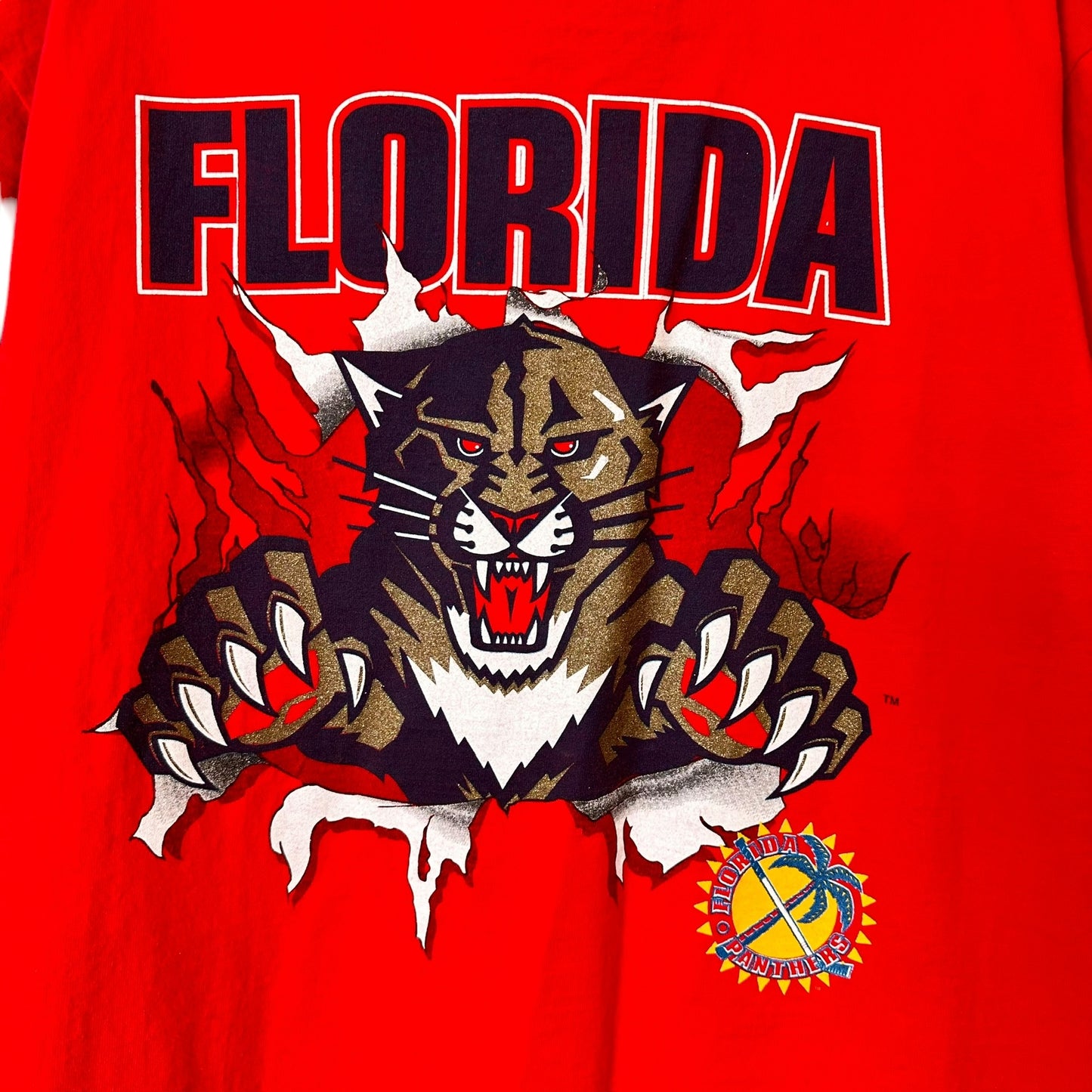 90's Florida Panthers Nutmeg Breakthrough T-Shirt Sz XL(A715)