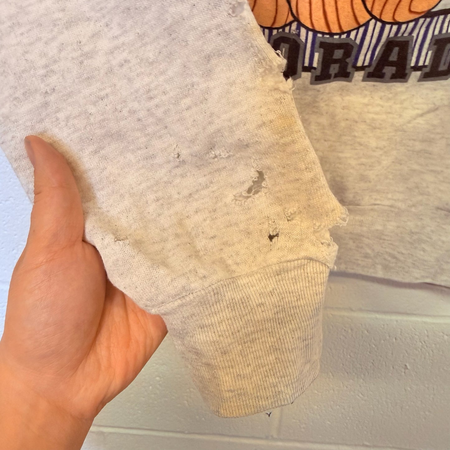 90s Colorado Rockies Looney Tunes NFL Crewneck Sz XL (B2468)