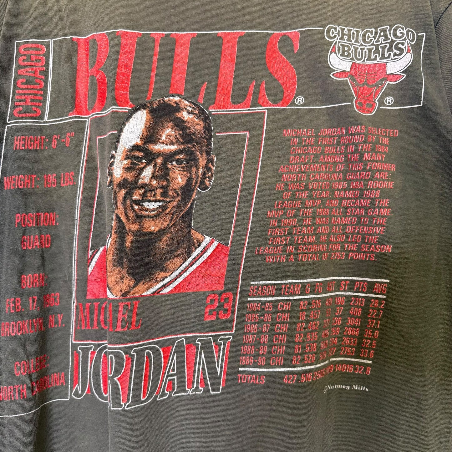 90s Michael Jordan Chicago Bulls NBA Nutmeg Player Card