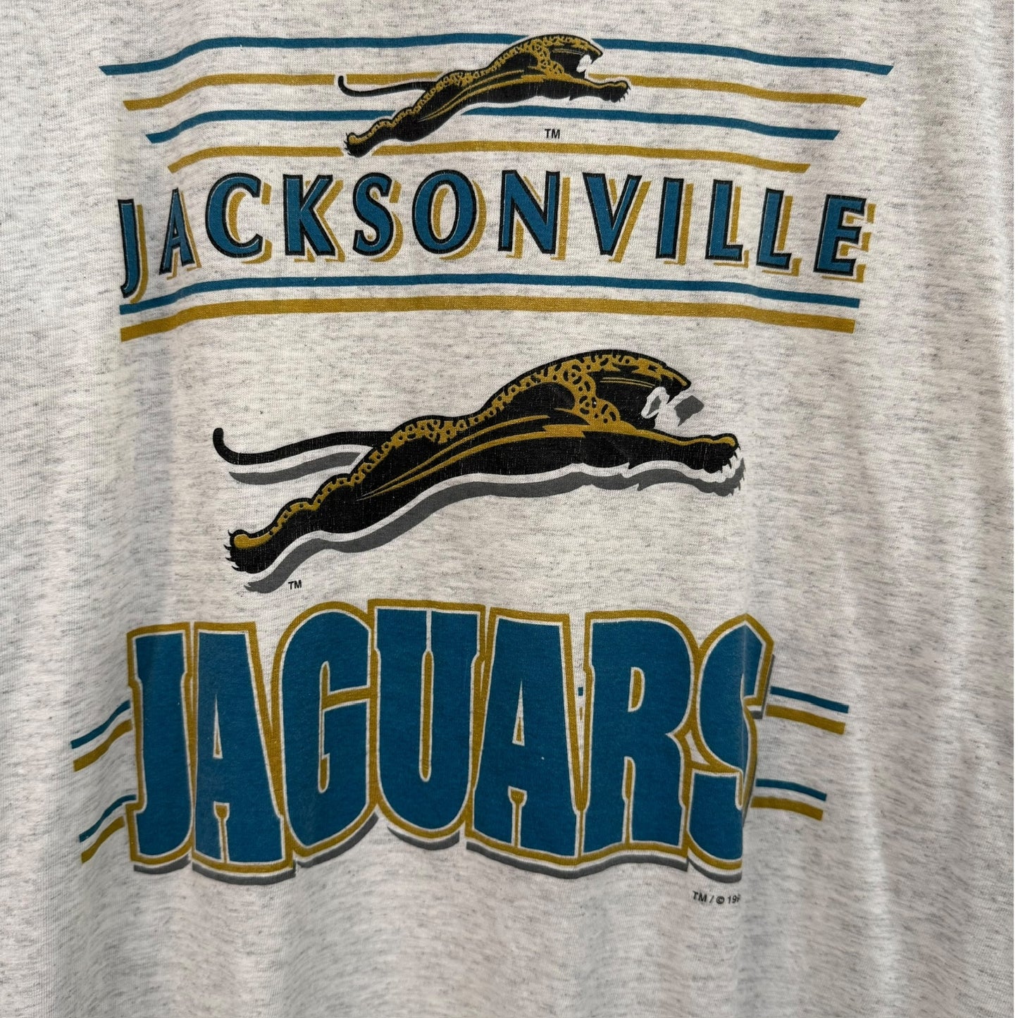 1993 Jacksonville Jaguars NFL T-Shirt Sz L (B1077)