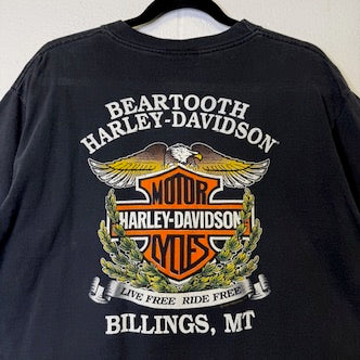 1991 Harley Davidson Billings Montana T-Shirt Sz L (B1410)