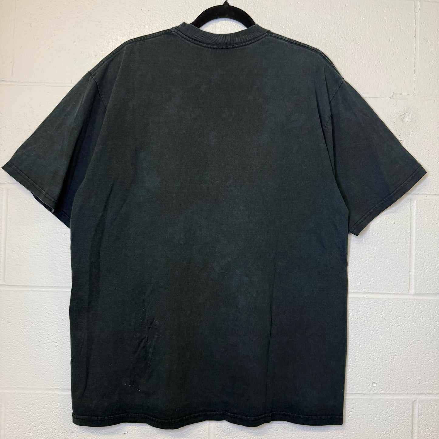 90s Charlotte Hornets NBA T-Shirt Sz XL (B2385)