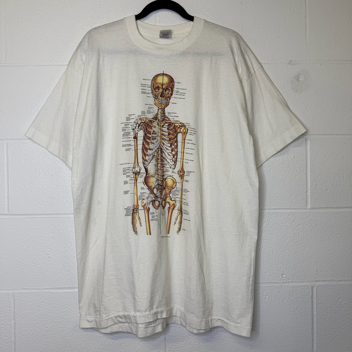 90’s Anatomical Chart Skeleton T-shirt Sz XL (B1769)