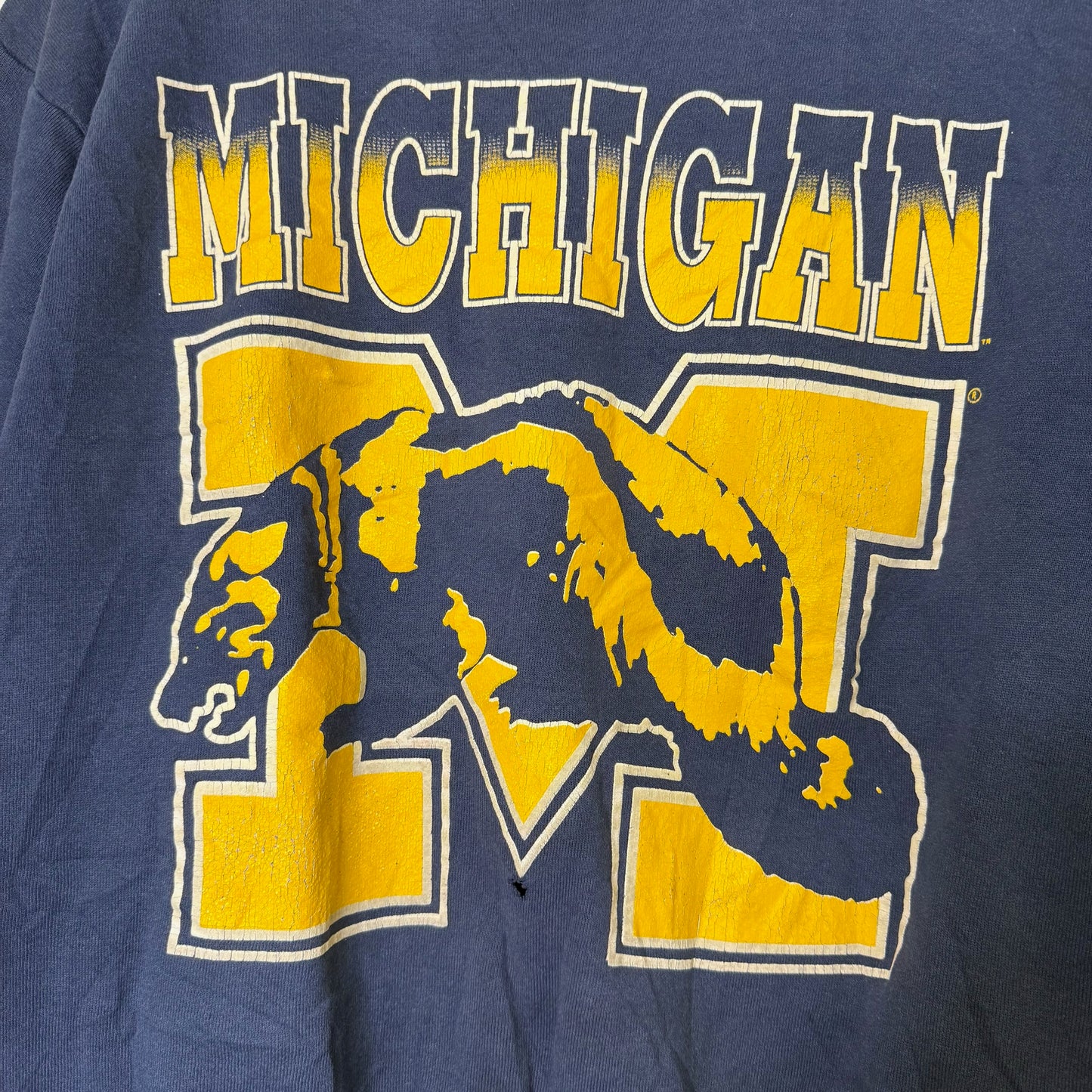 90s Michigan Wolverines NCAA Crewneck Sz L (B2454)
