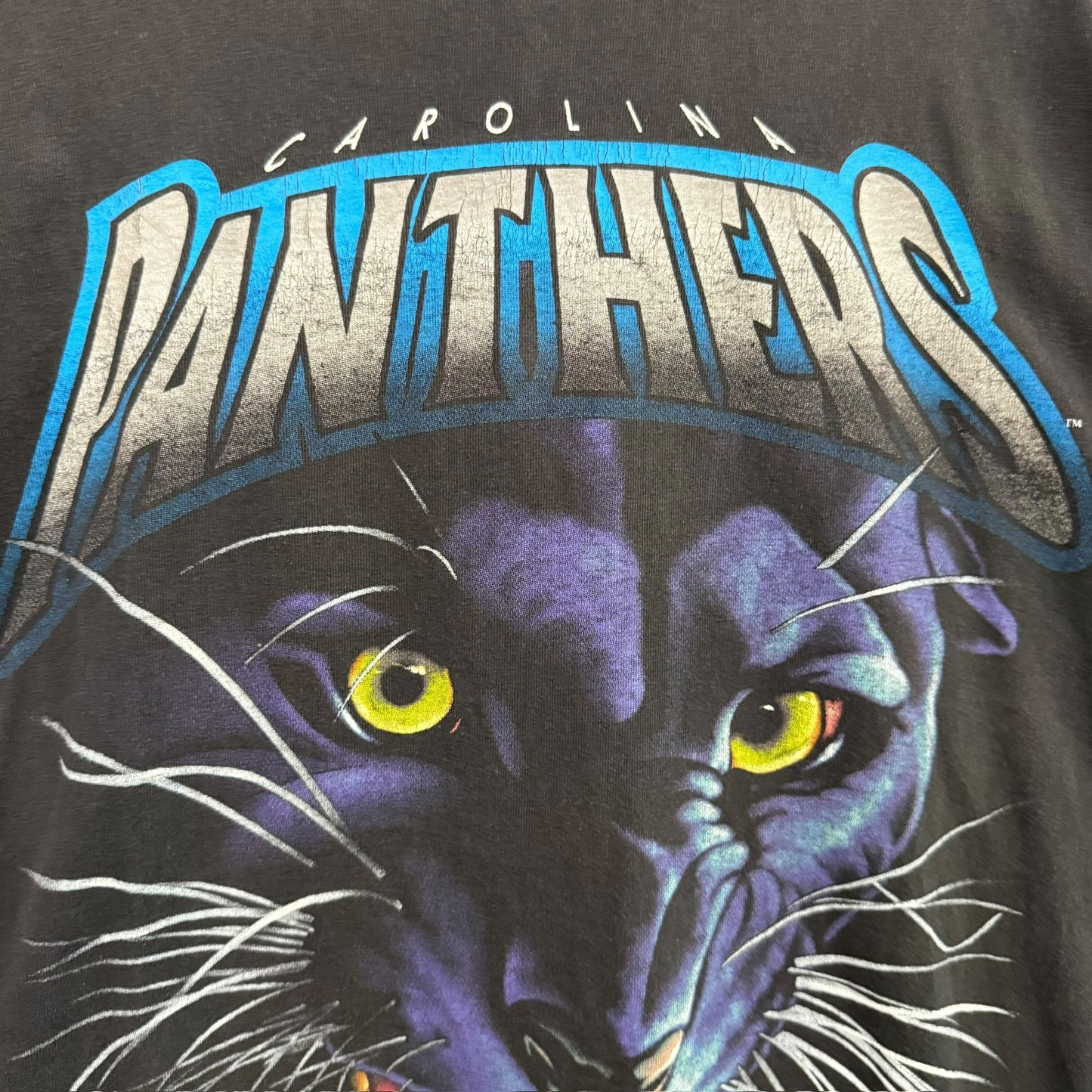 1993 Carolina Panthers Salem NFL T-Shirt Sz XL (B1259)