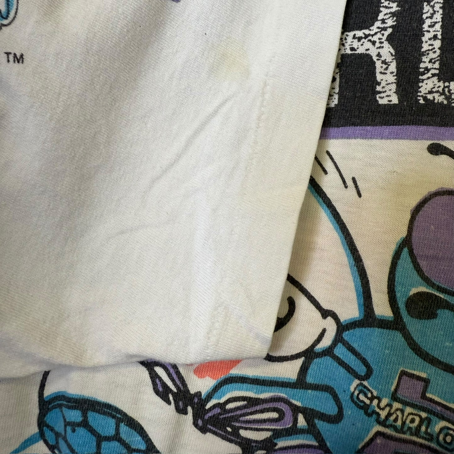 90s Charlotte Hornets Magic Johnson T's NBA AOP Sz 2XL