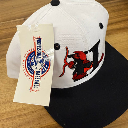 90s Hickory Crawdad's Minor League Baseball SnapBack Hat