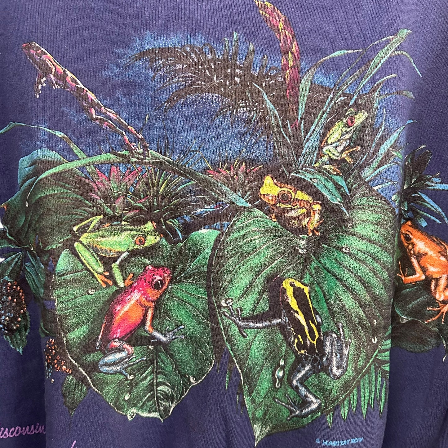 90's Colorful Toads All Over Print Crewneck