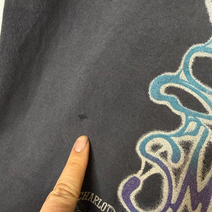 1994 Taz Charlotte Hornets NBA T-Shirt (B2424)