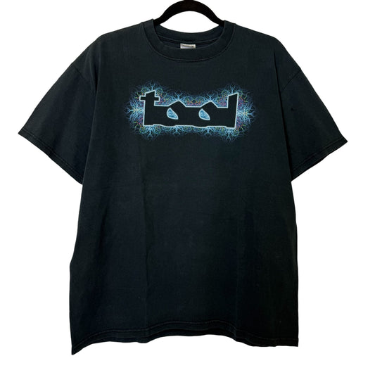 2000s Tool Alex Gray Art Band T-shirt Sz L (B1008)