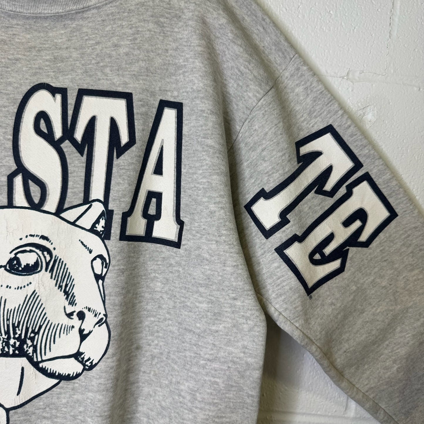 90s Penn State Nittany Lions NCAA Crewneck Sz XL (B2456)