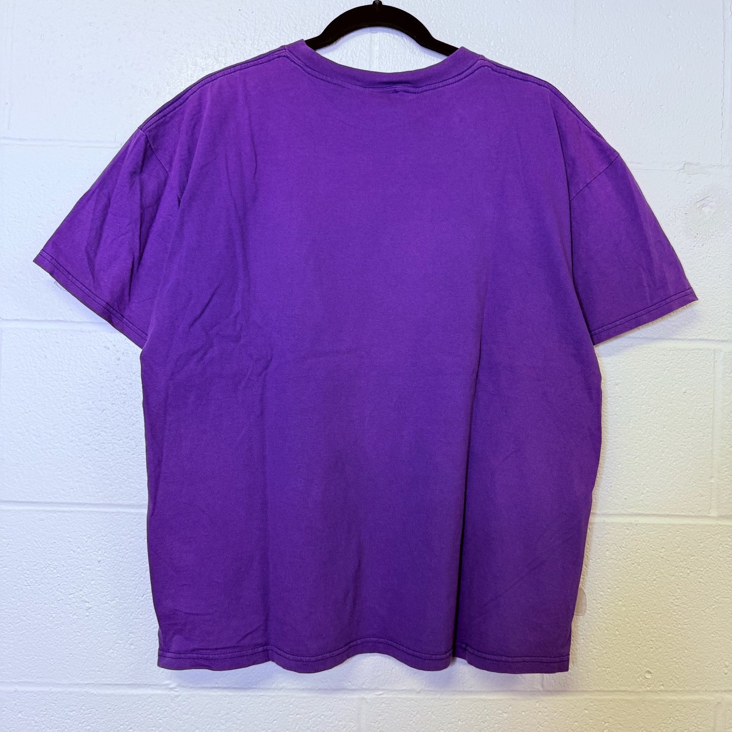 90s Taz Sacramento Kings NBA T-Shirt Sz L (B2469)