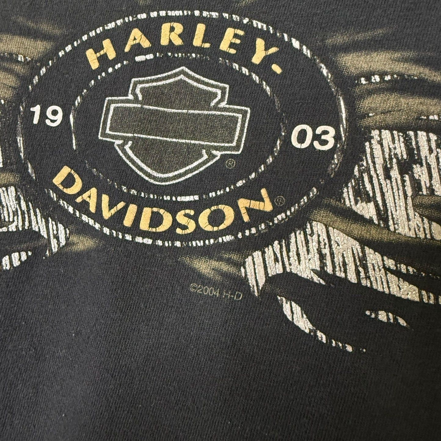 2000 Harley Davidson Corpus Christi T-shirt Sz L (B581)