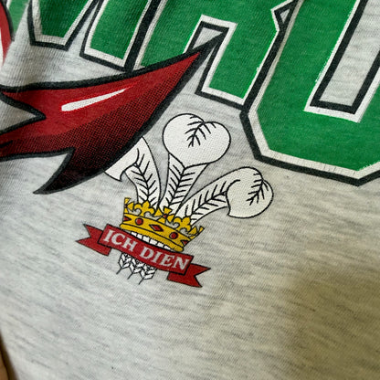 90's Wales Dragons Rugby T-shirt Sz XL (B1540)