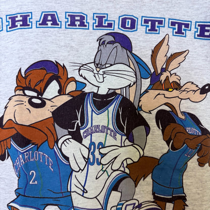 1993 Looney Tunes Charlotte Hornets NBA T-Shirt (B2332)