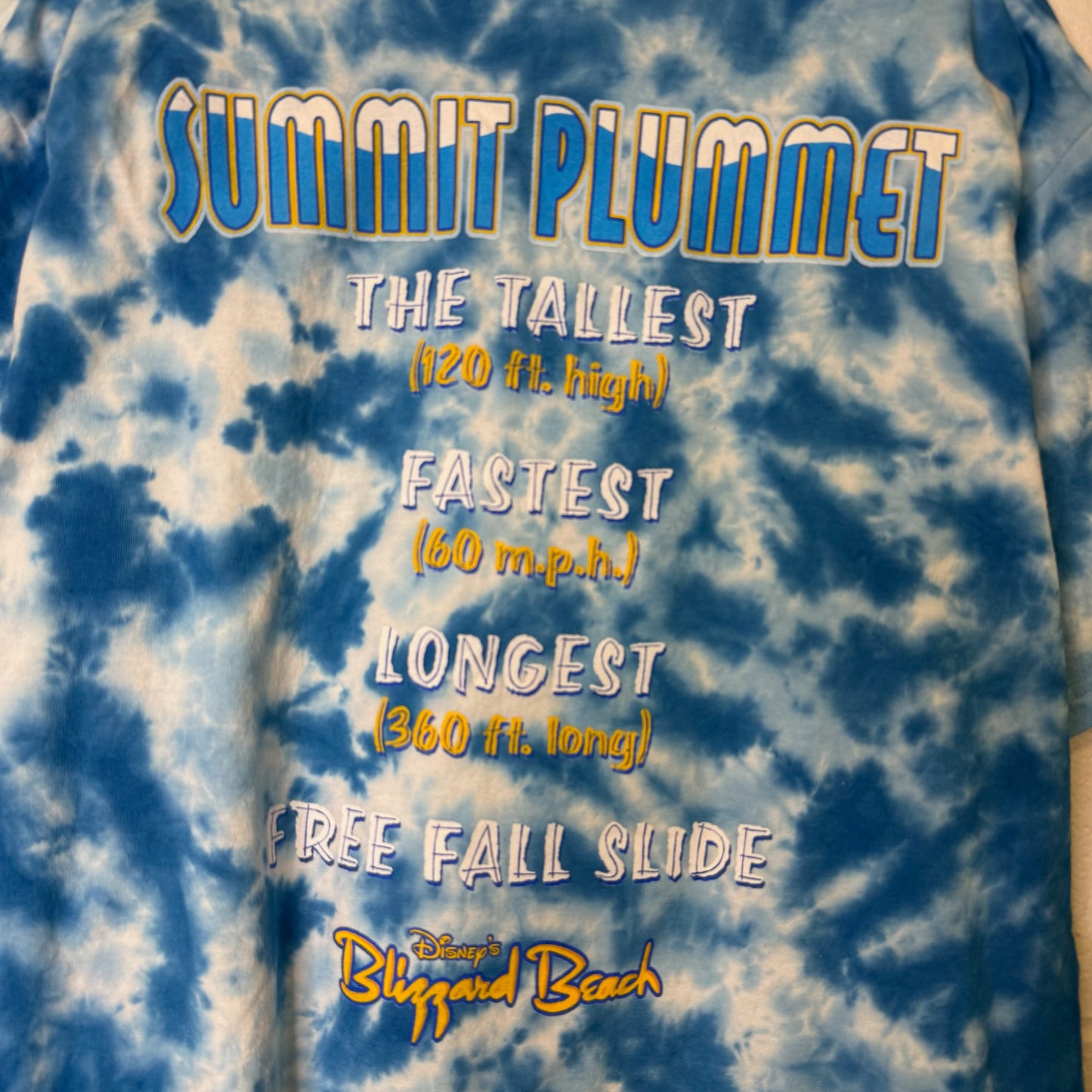 90s Blizzard Beach Disney T-shirt Sz L (B1699)