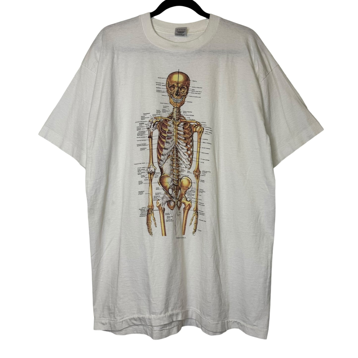 90’s Anatomical Chart Skeleton T-shirt Sz XL (B1769)