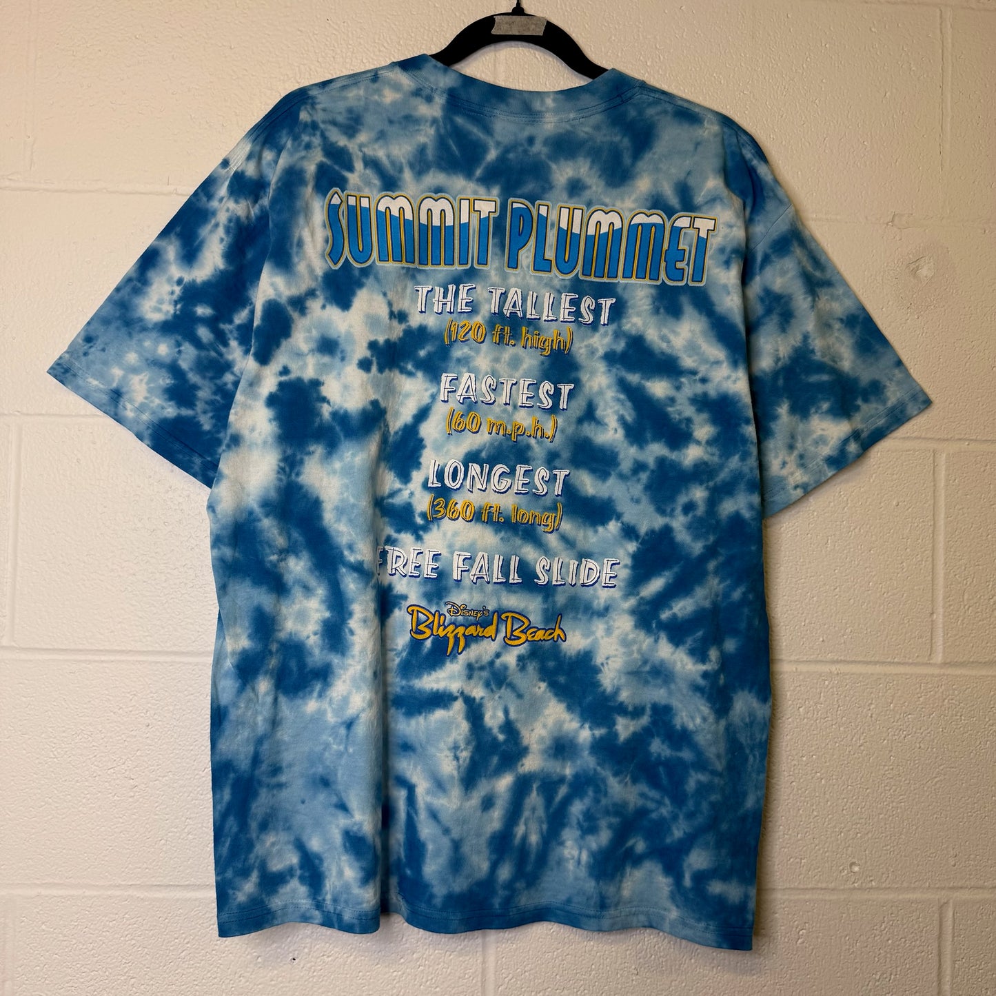 90s Blizzard Beach Disney T-shirt Sz L (B1699)