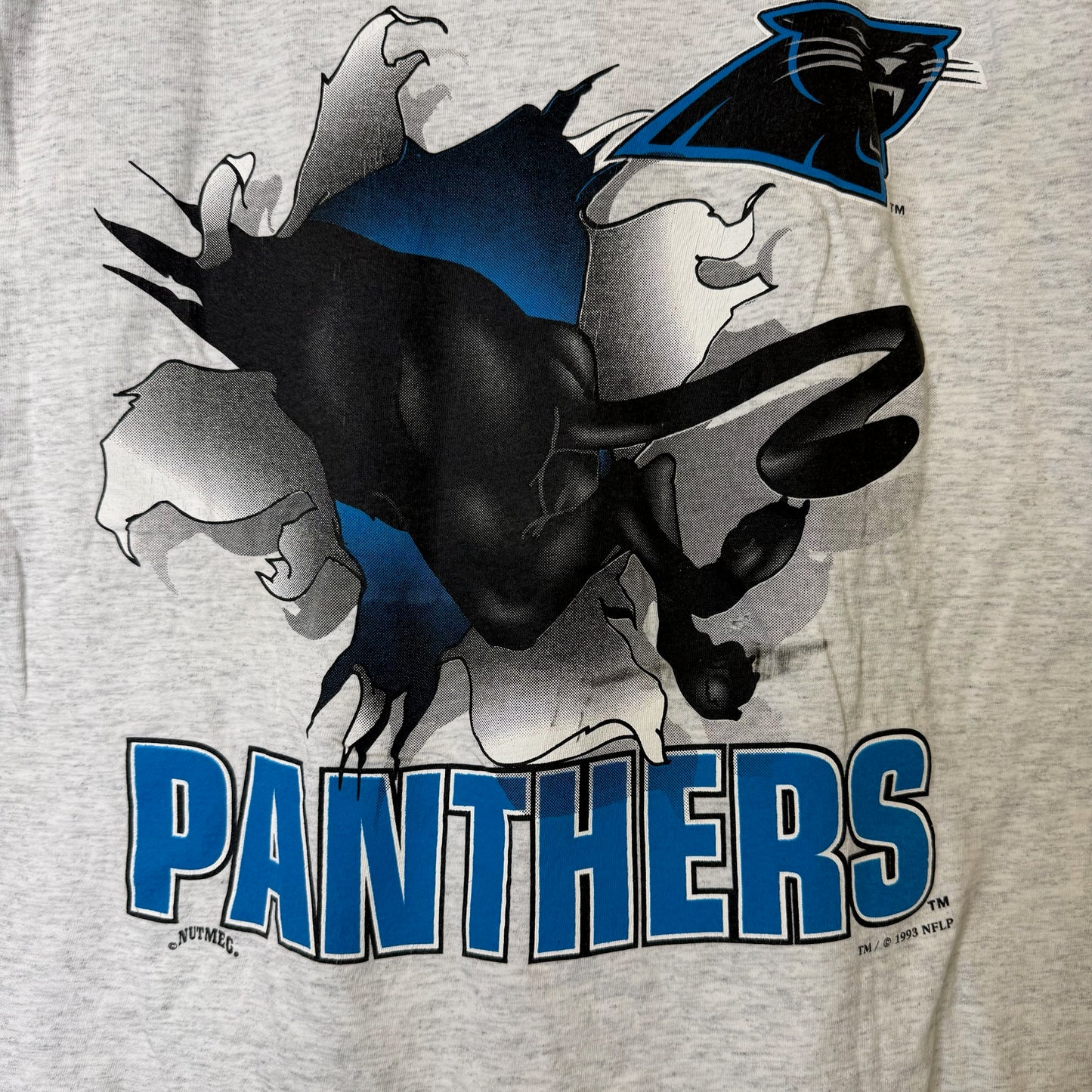 1993 Carolina Panthers NFL Nutmeg Breakthrough T-Shirt Sz L (B2085)