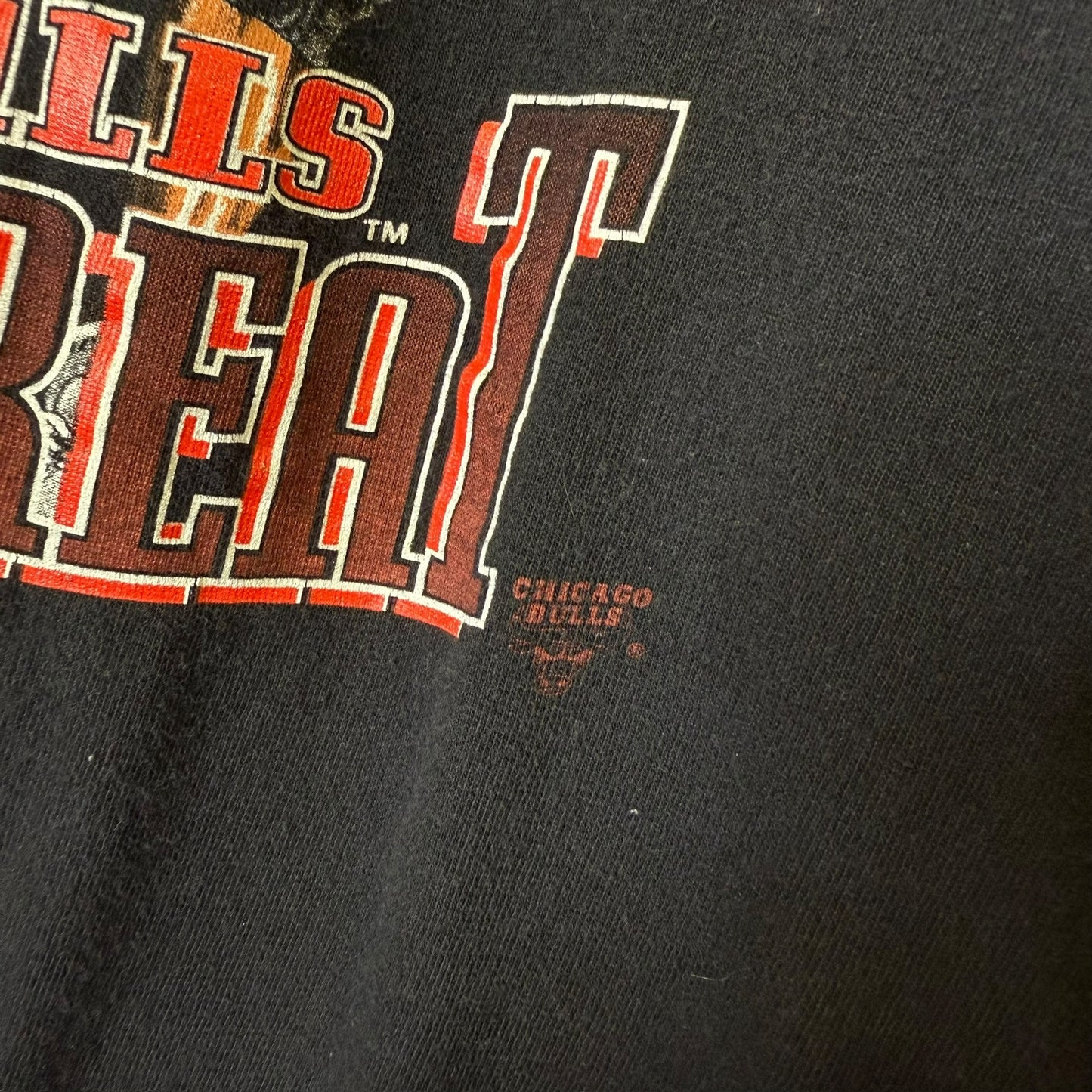 90's Chicago Bulls Nutmeg Triple Threat NBA T-shirt Sz XL